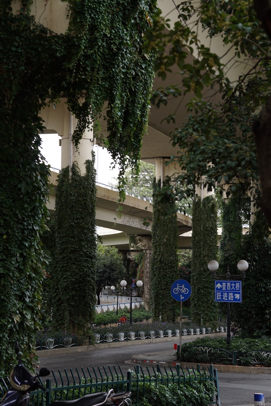 Underside of highway, with road pillars covered in plants