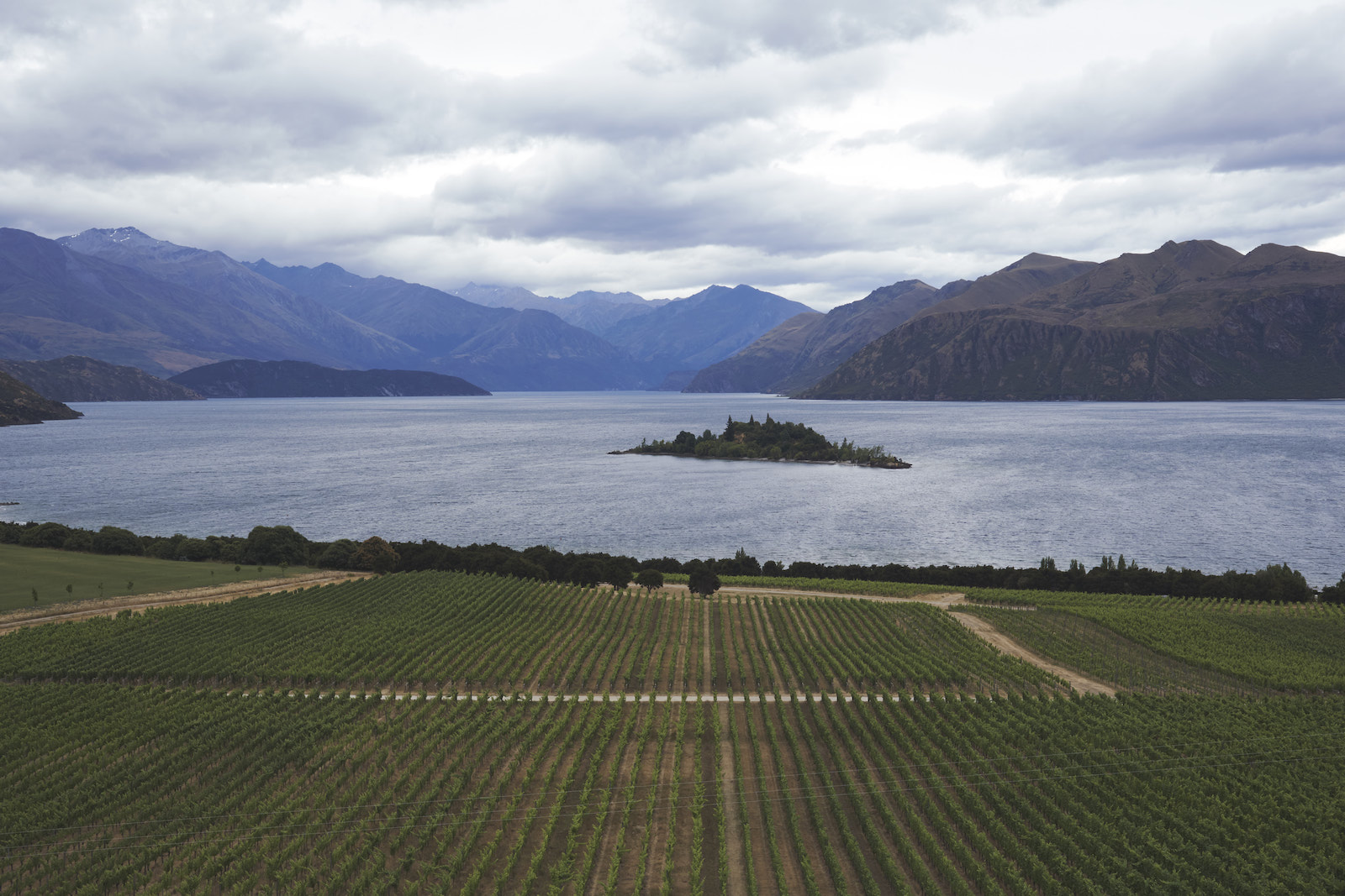 View from Rippon winery over the wines, Lake Wanaka, and mountains